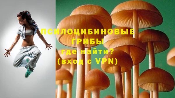 PSILOCYBIN Алексин