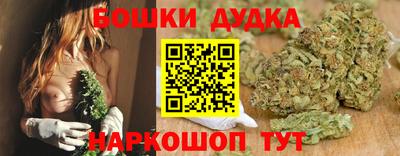 ешки Дубна