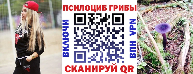 KRAKEN ССЫЛКА  наркотики  Моздок  Галлюциногенные грибы MAGIC MUSHROOMS 