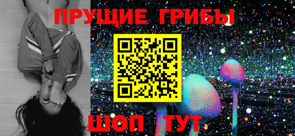 Псилоцибиновые грибы GOLDEN TEACHER Моздок